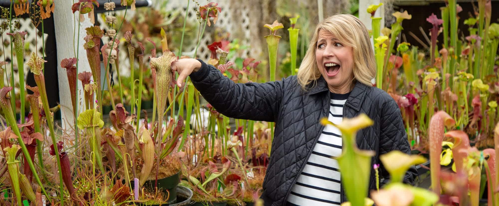 Sonoma County - Places to Love