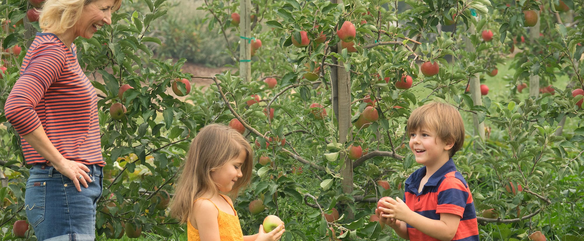 samantha brown - place to love - oregon rv trip