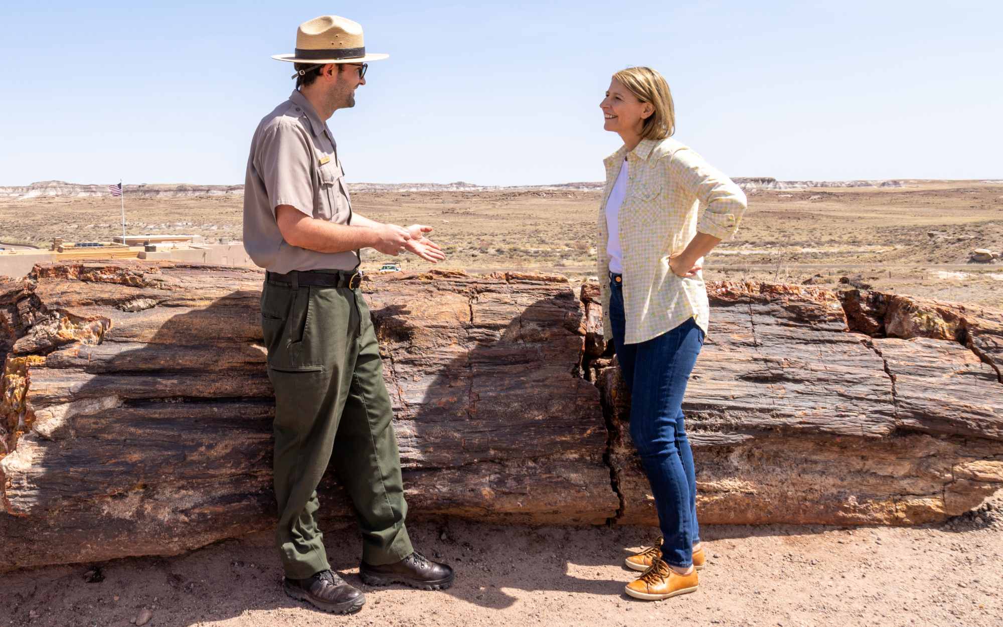 Motel Safari New Mexico